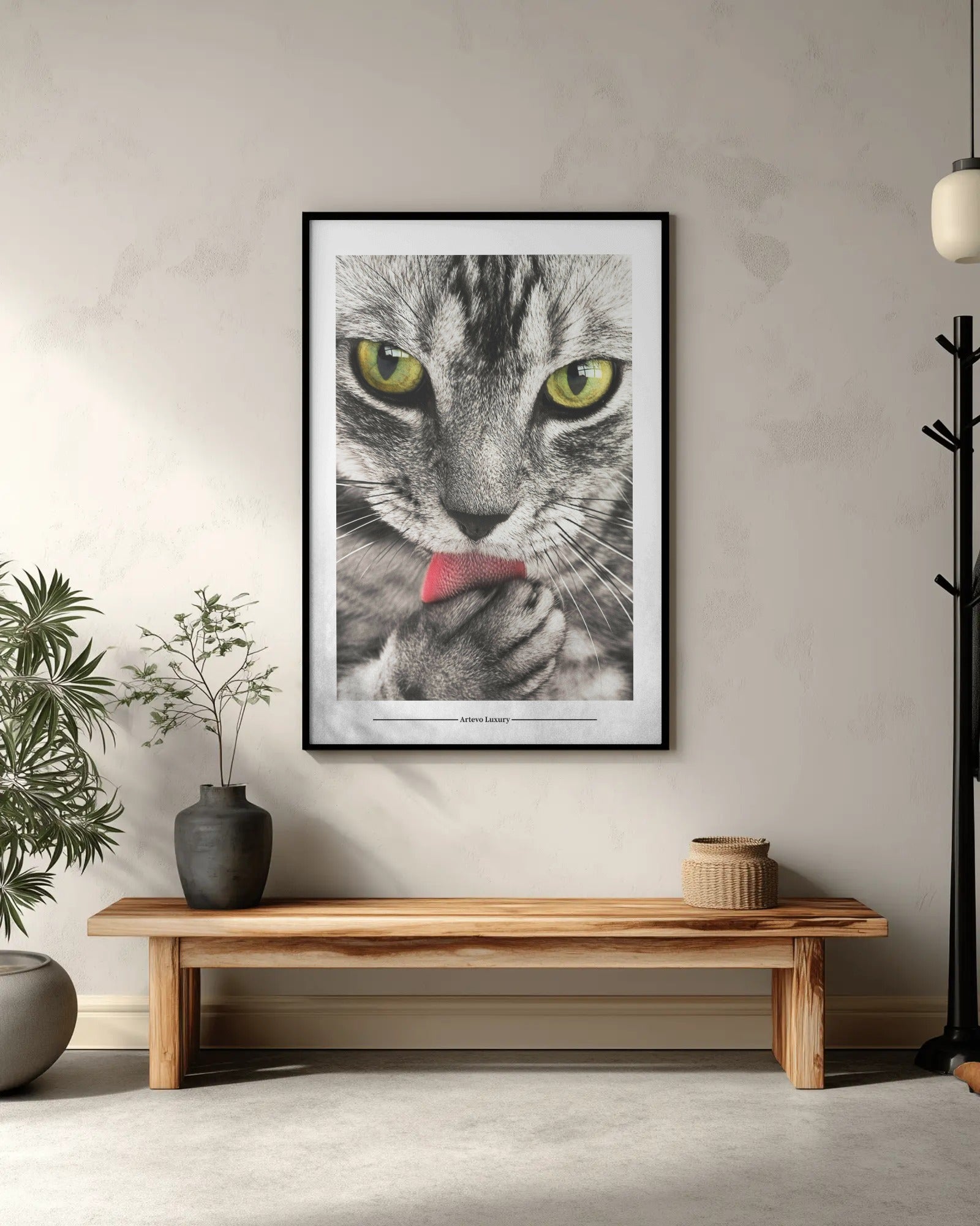 Feline Focus