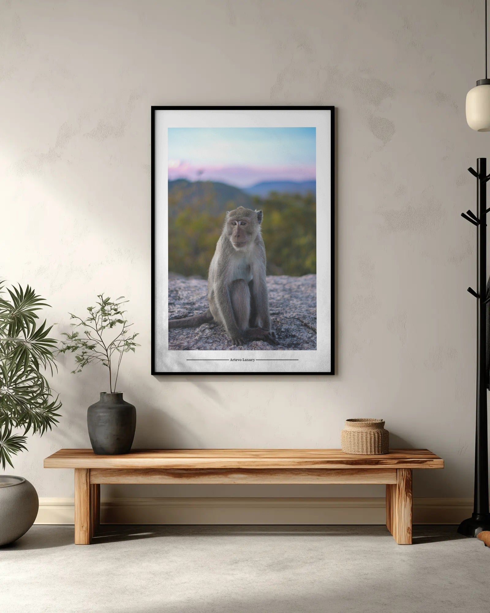 Mountain Monkey