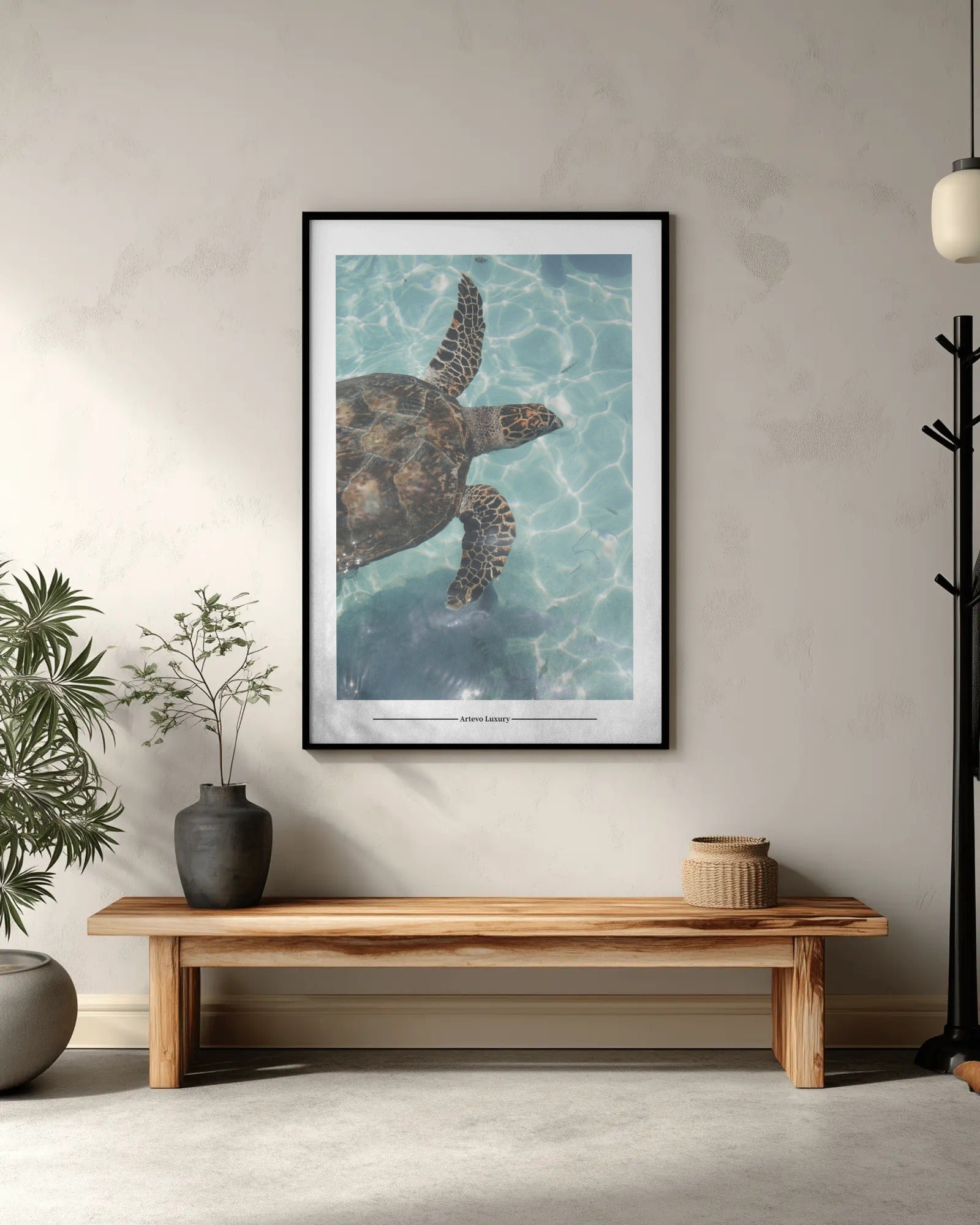 Sea Turtle