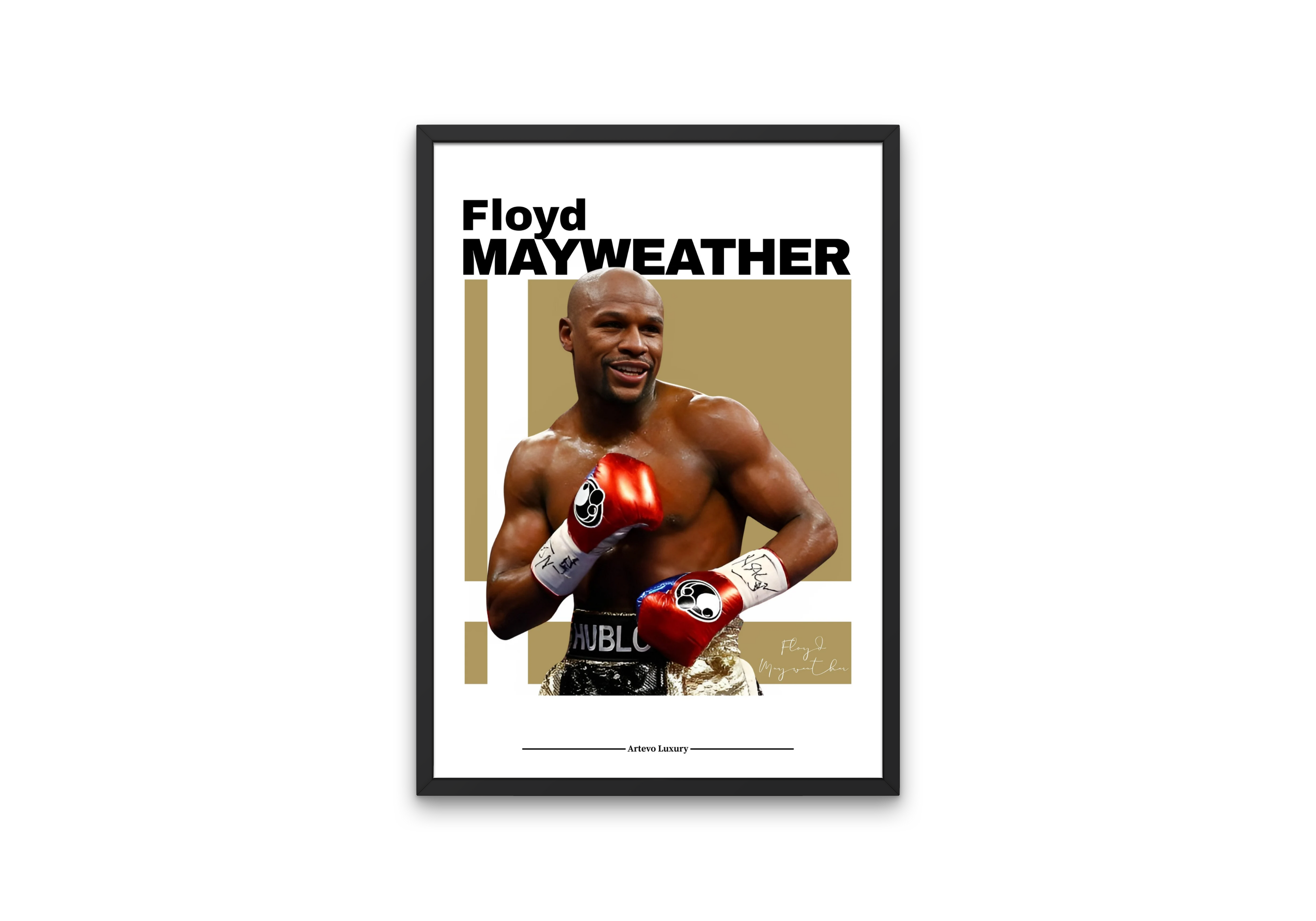 Floyd Mayweather