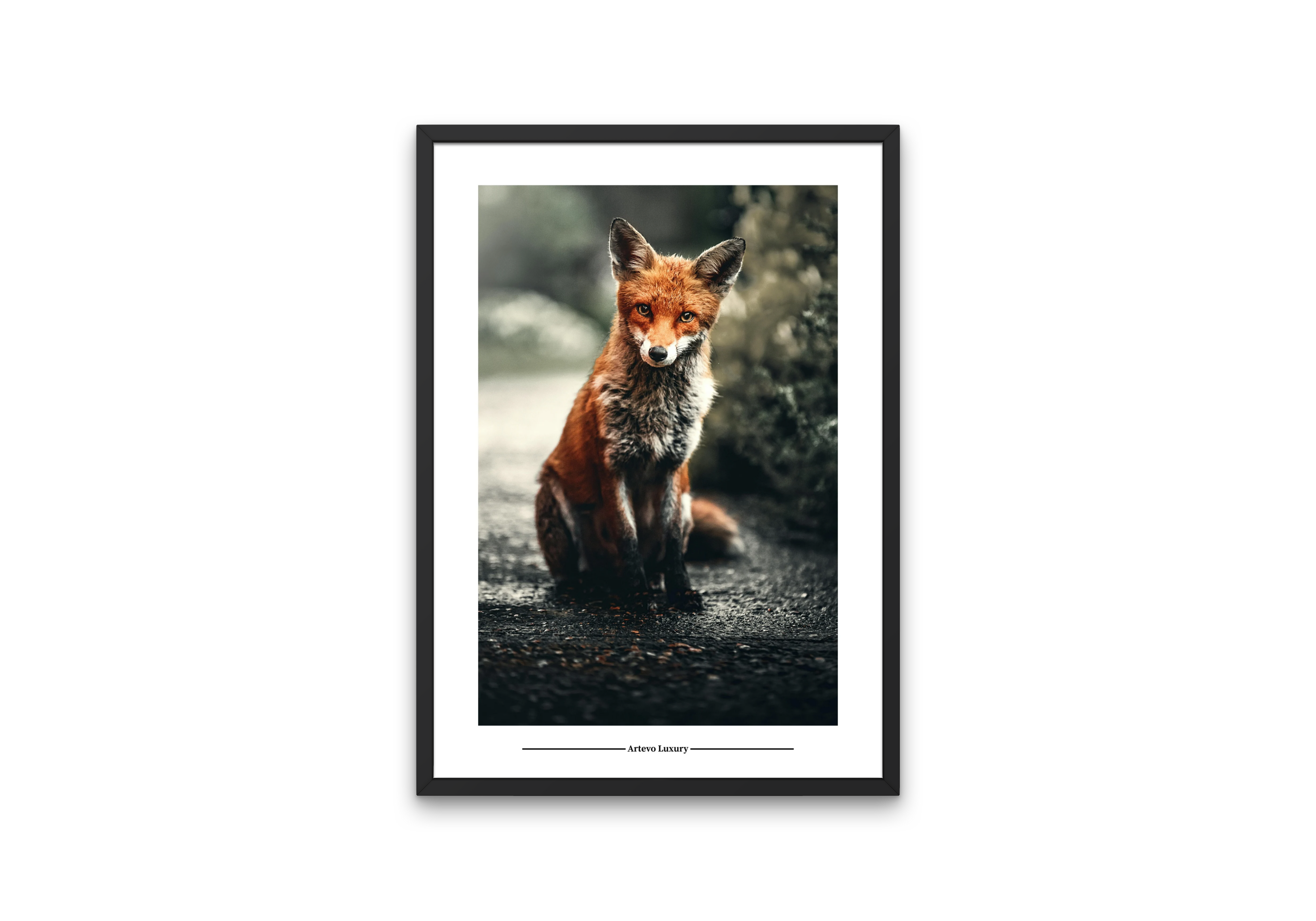 Fox