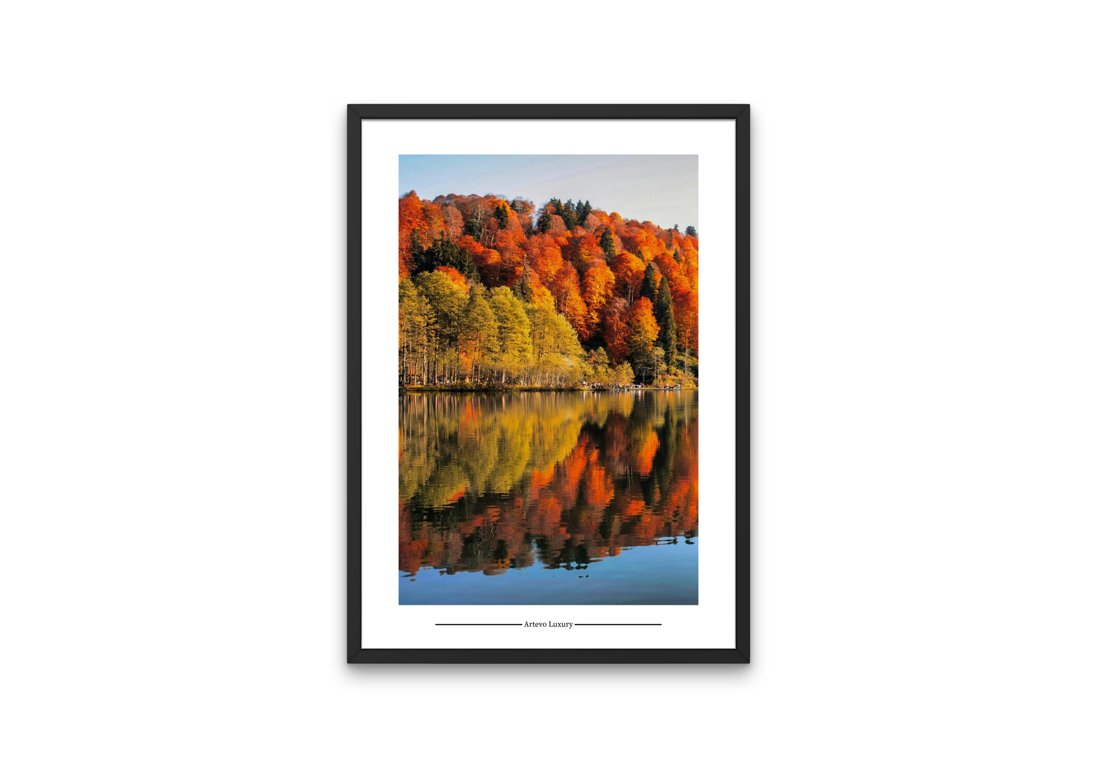 Lake Reflective