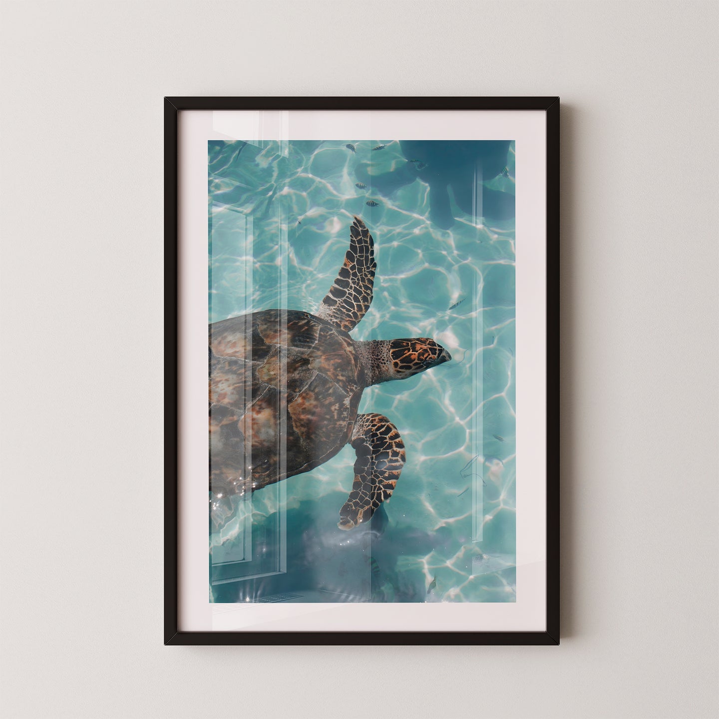 Sea Turtle