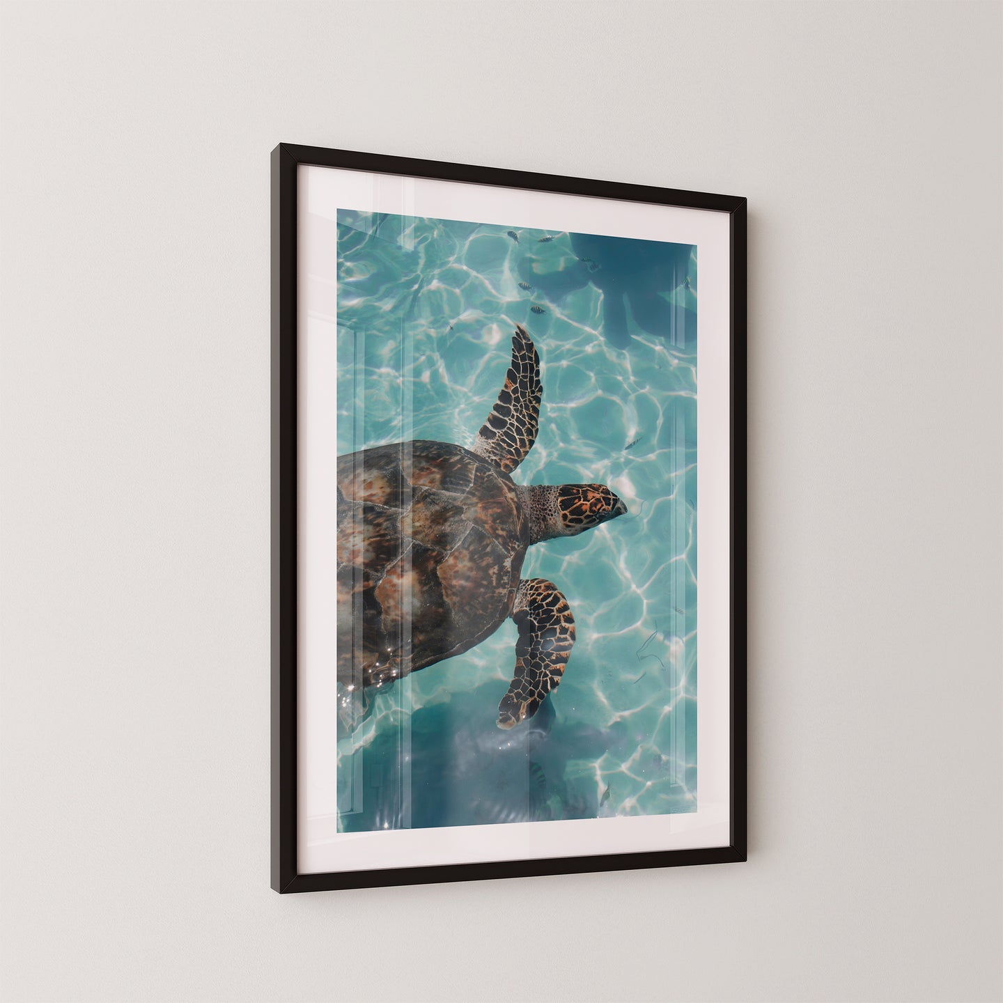 Sea Turtle
