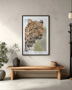 Wild Leopard
