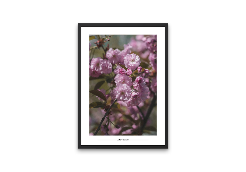 Pink Blossoms