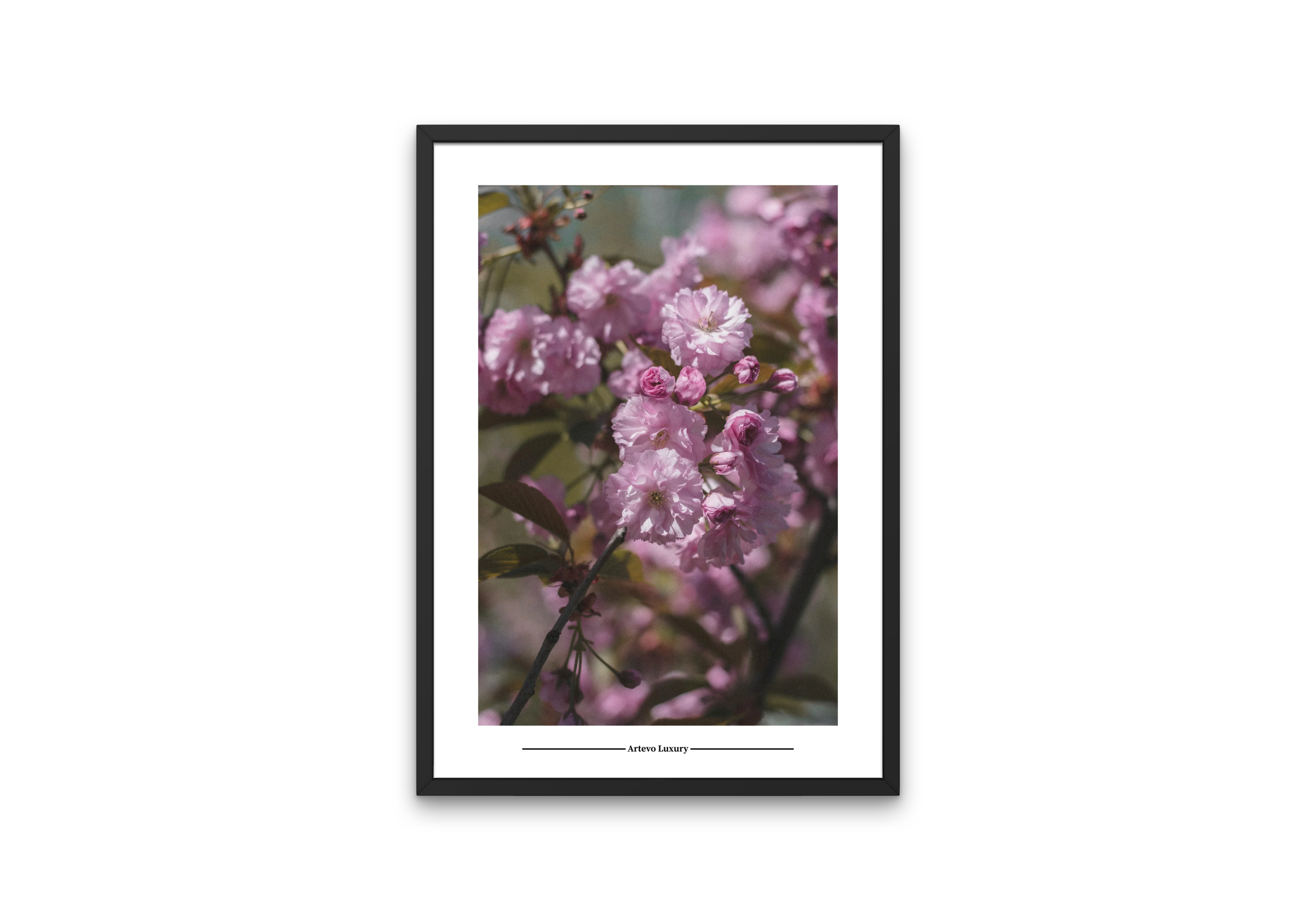 Pink Blossoms