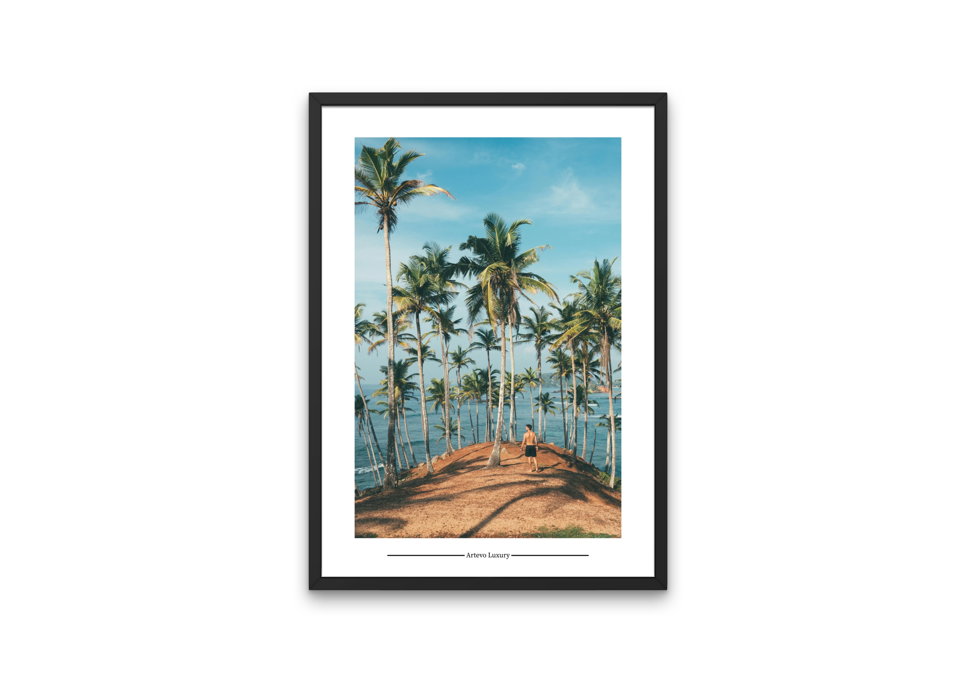 Palm Shore