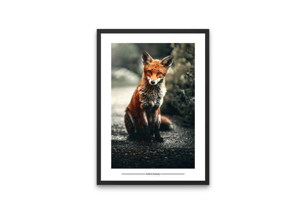 Fox