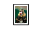 Mandril