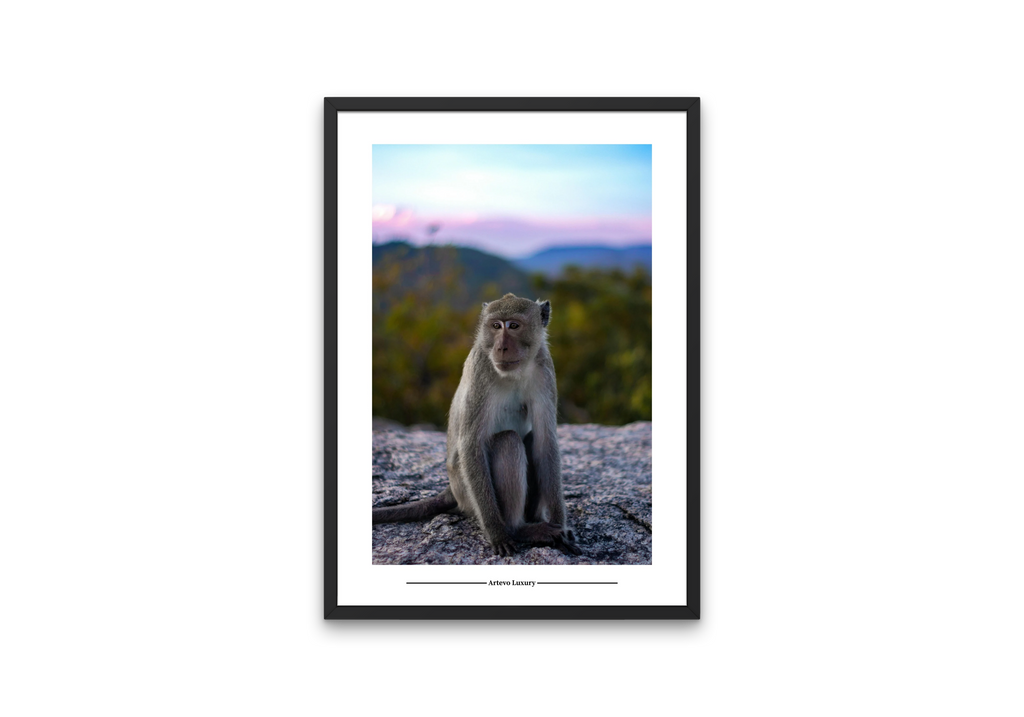 Mountain Monkey