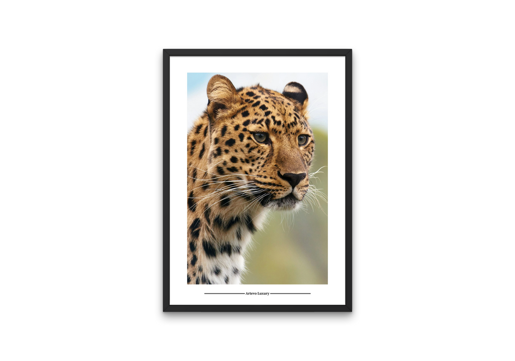 Wild Leopard