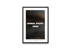 Custom Animal