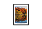 Lake Reflective